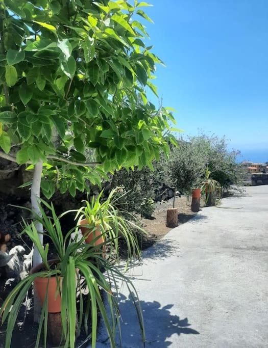 Mi Rinconcito Villa Los Llanos De Aridane Exteriör bild